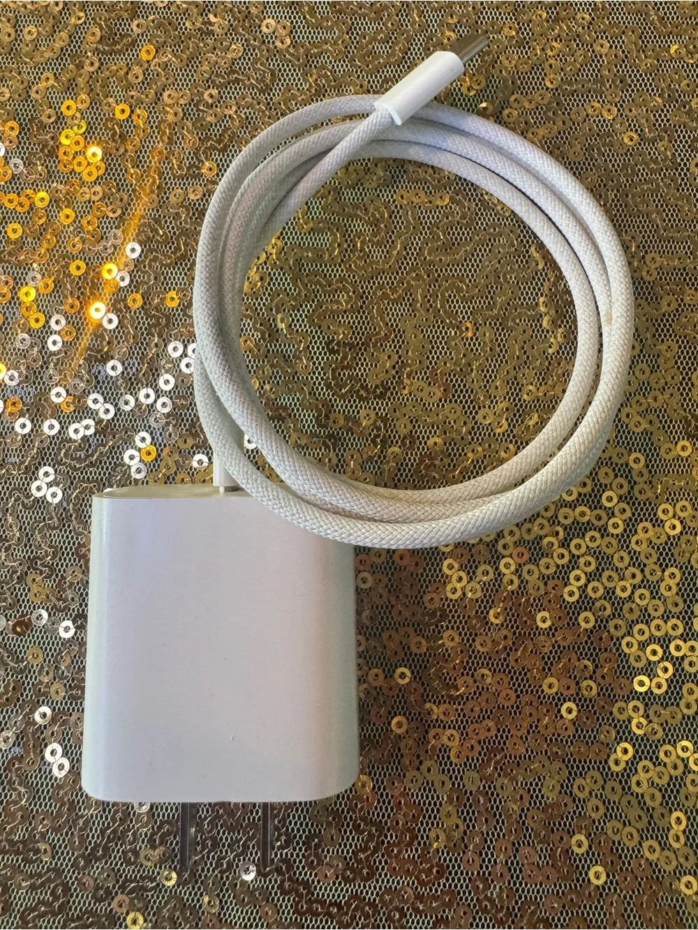 USB-C Charging Cable with White Wall Adapter